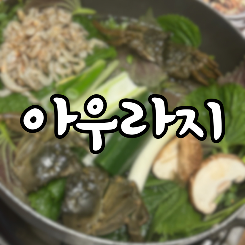 사진 5