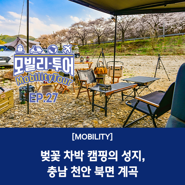  충남 천안 벚꽃 차박 캠핑의 성지, 북면 계곡