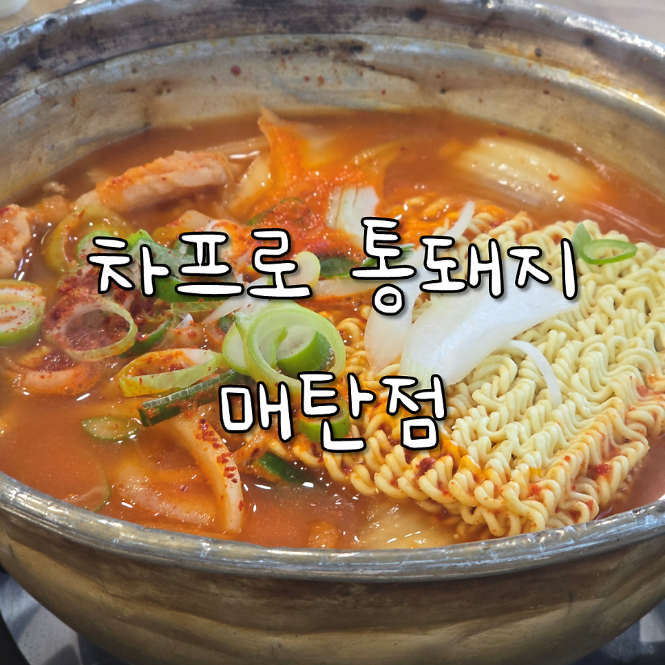 차프로통돼지 사진 1