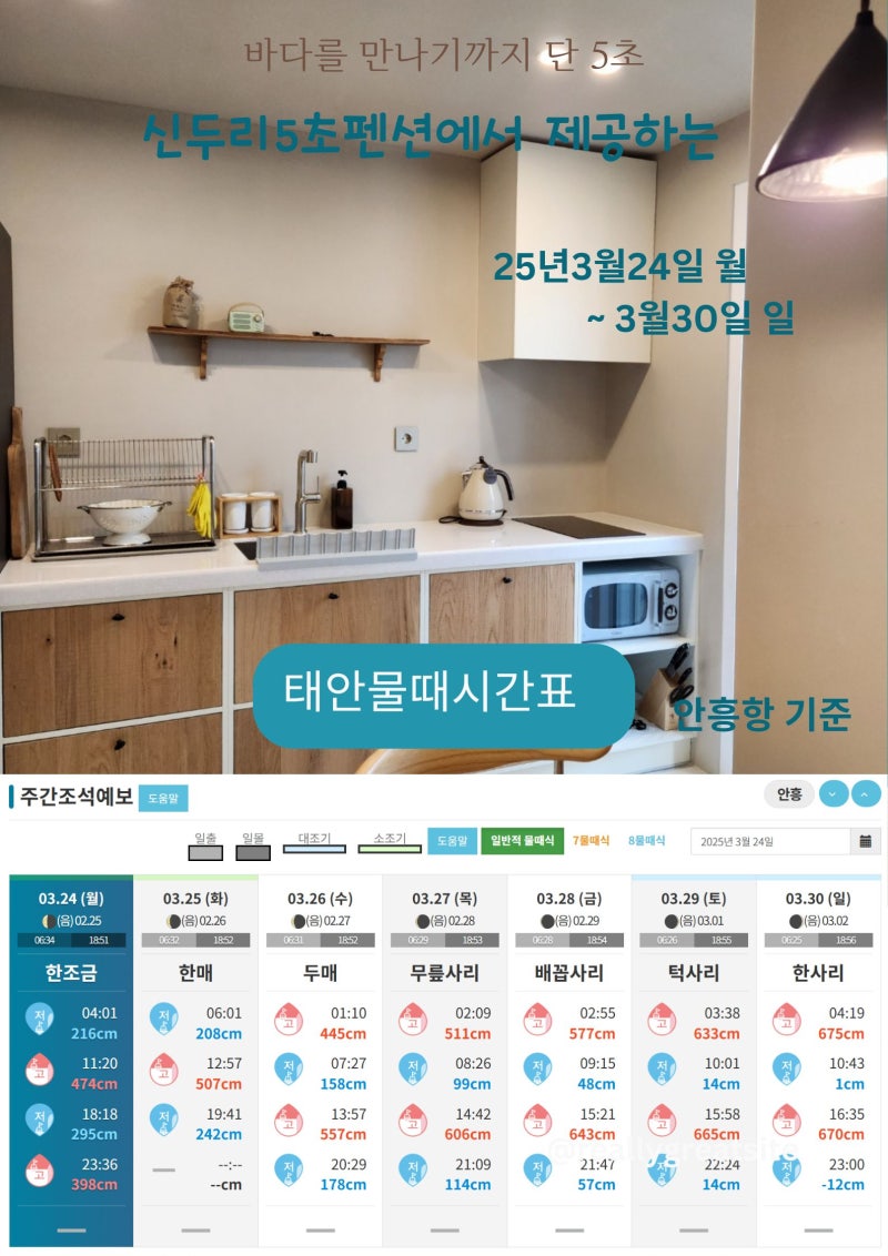 태안 물때 시간표(25년 2월~3월) 태안반도 안면도 대산 신두리 천리포 만리포 어은돌 안흥항 ....