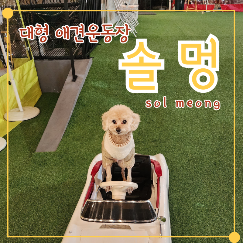 솔멍 — 연수구