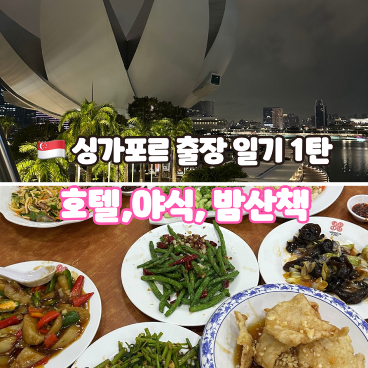  싱가포르 출장 1 - 홀리데이 인, 차이나타운, 마리나 베이 샌즈 밤산책, 헬릭스 브릿지