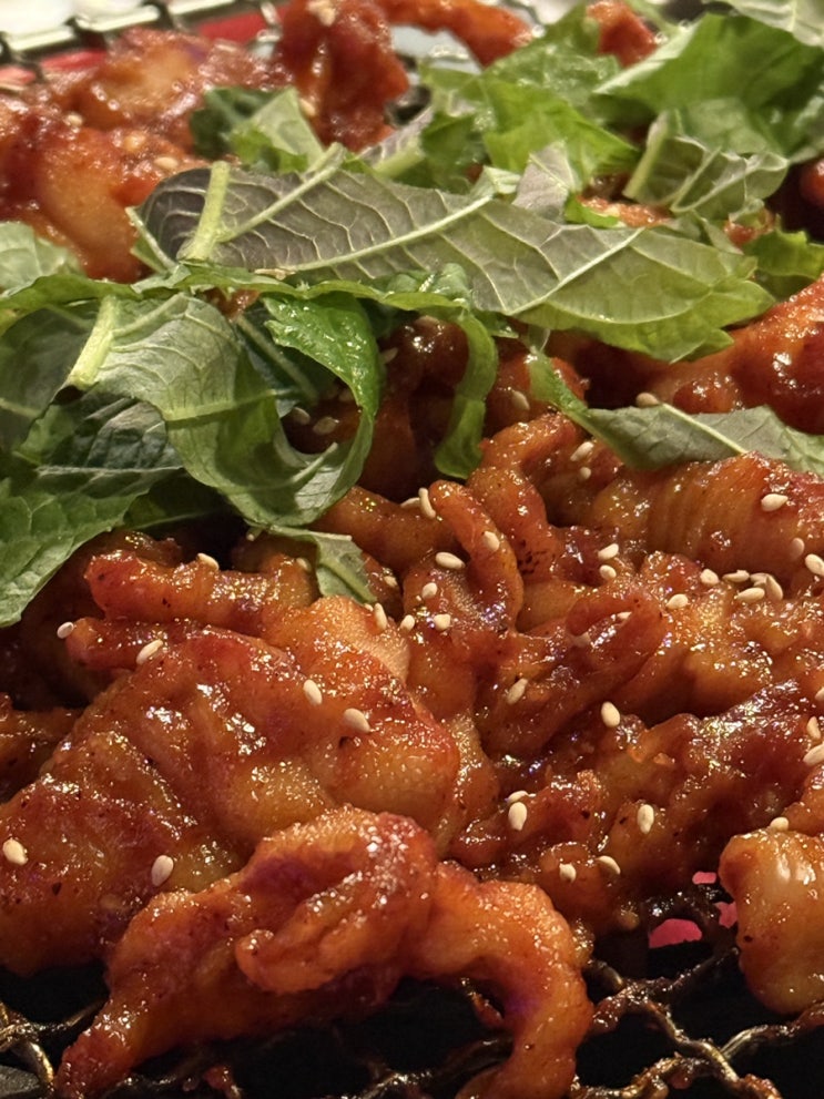  신림 당곡 숯불 닭발 맛집 불타는꼬꼬발 본점