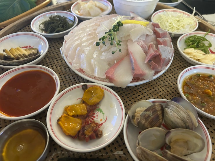  안암역 고려대학교 앞 거대한 물고기들이 헤엄치는 횟집 <고대어시장>(모듬회, 매운탕)