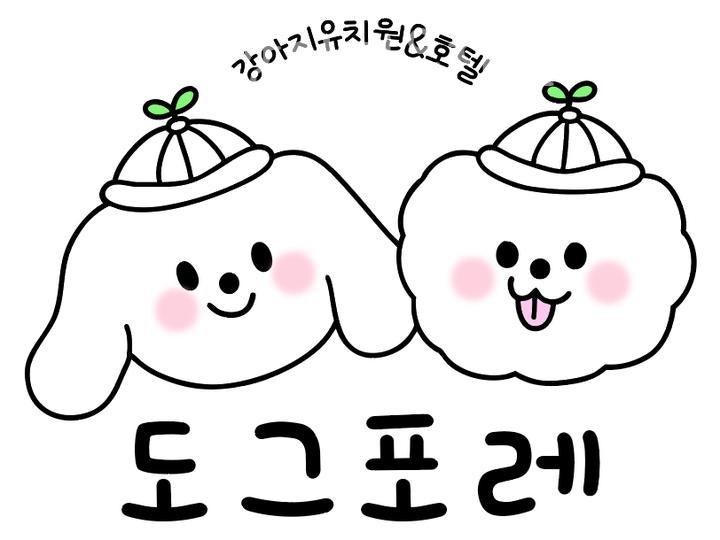 도그포레 강아지유치원