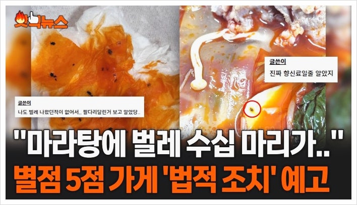  관악구 동작구 마라탕 벌레 논란 맛집 식당 어디 위치
