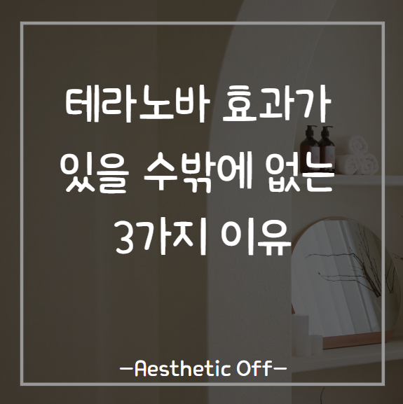  테라노바 효과 진짜 있을까? 체내 순환을 제대로 알면 답이 보여요