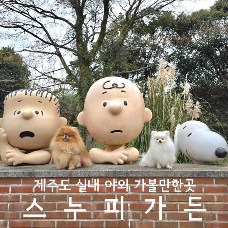  제주도 가볼만한곳 실내 야외 관광지 스누피가든 애견동반 내돈내산 후기