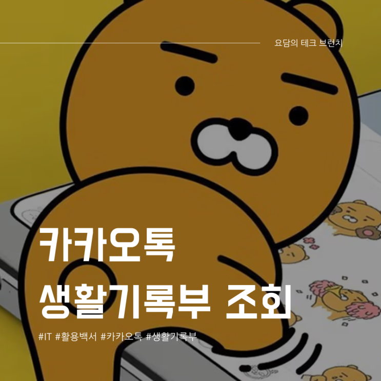  카톡 생기부 카카오톡 생활기록부 조회 방법