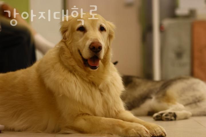 사진 3