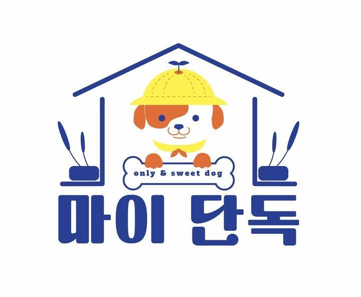 사진 5