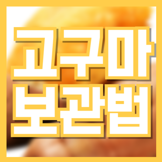  고구마 보관법 곰팡이랑 싹이나는 이유!?