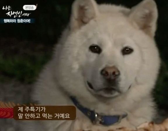  돈을 벌러 다니는건지 쓰러다니는건지 모르겠네