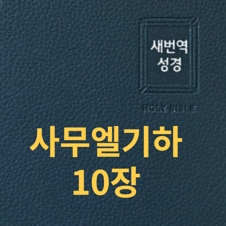 사무엘기하 10장 사무엘기하 10장