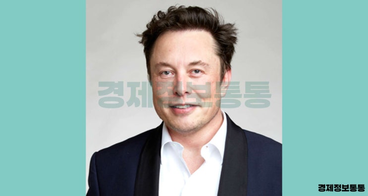  일론 머스크의 정치적 행보와 테슬라 주가, 미래는 어떻게 될까?