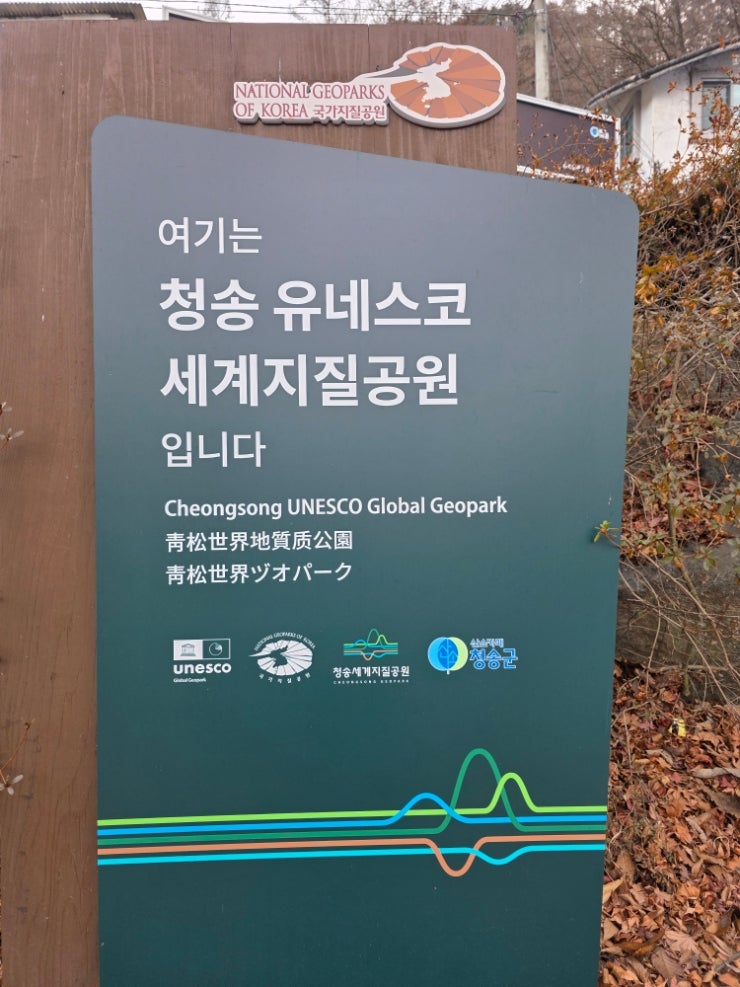 청송 달기약수로 만드는 보양 닭백숙 서울여관식당 청송 달기약수로 만드는 보양 닭백숙 서울여관식당