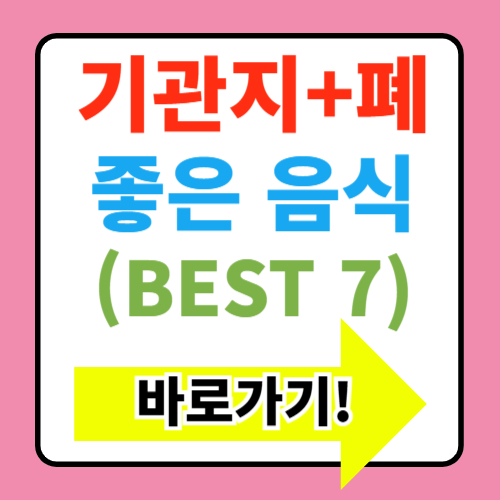  숨 쉬기 편해지는 기관지 폐에 좋은 음식 TOP7