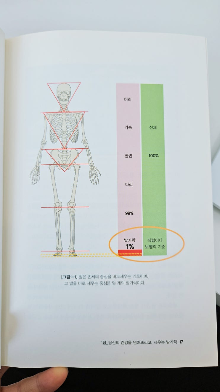  내 몸의 1%인 발가락이 내 몸을 고친다.