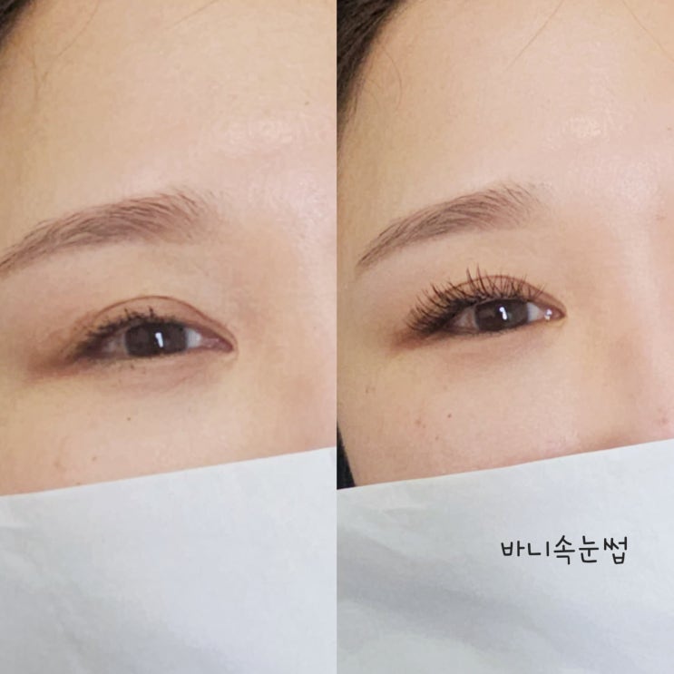  플랫모 속눈썹 솜털처럼 가볍고 진한 매력과 특징 알아보기