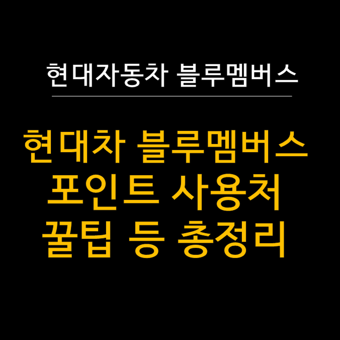  현대자동차 블루멤버스 포인트 완벽 활용법 - 놓치면 후회할 숨은 혜택 총정리  (사용처, 멤버스몰, 네이버 연동 등)