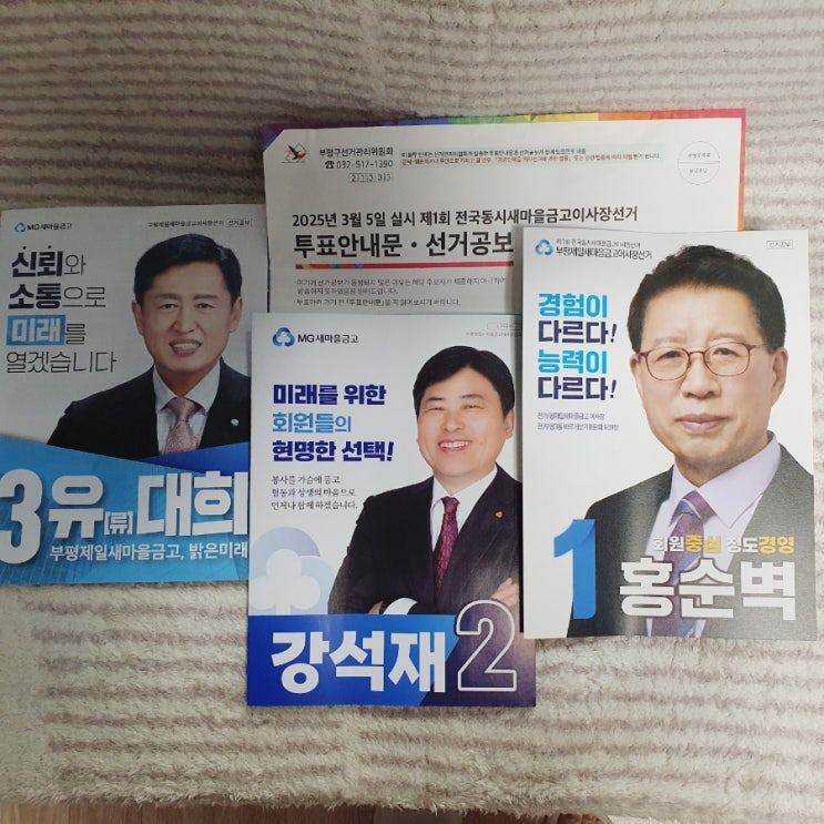 제1회 전국동시 <b>새마을금고 이사장 선거</b> 알아보기