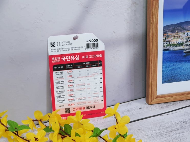  다이소 알뜰폰 유심 셀프개통 방법 총정리