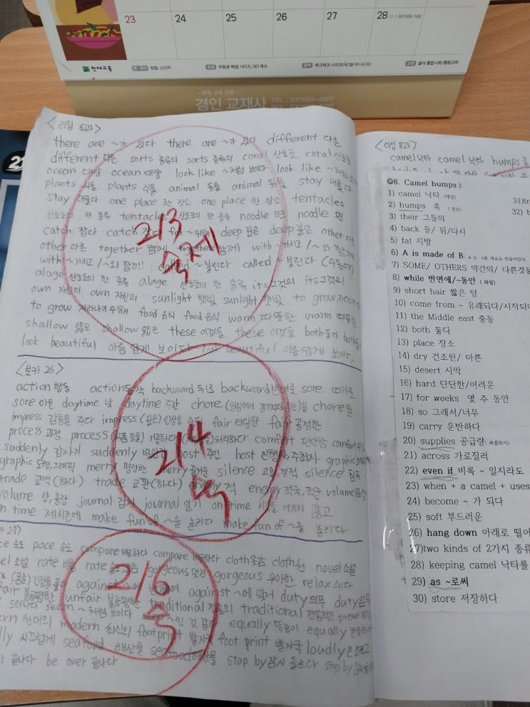   왜 맞춤형 수업이 중요한가? 운양역 온리유 학원의 맞춤 교육의 필요성