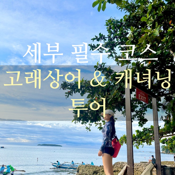  세부 오슬롭 고래상어 투어 캐녀닝 예약, 리얼 후기(공항픽업)