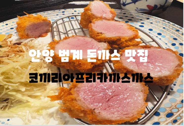  안양 범계역 돈까스 맛집 호계동 돈까스 : 코끼리아프리카까스까스