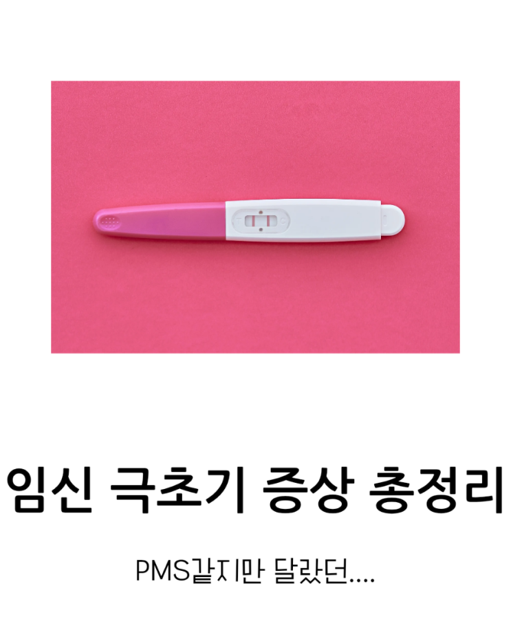  PMS같았던 임신 극초기 증상 총정리