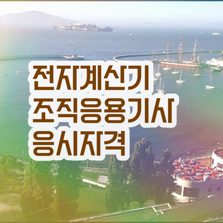  전자계산기조직응용기사 필기시험 준비물 시험응시조건 온라인 과정으로 간편하게 성공한 전략