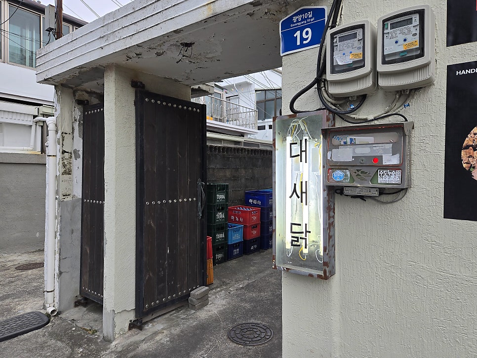 대새닭 사진 4