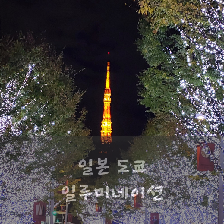  11월 도쿄 일루미네이션 롯본기 힐즈 추천