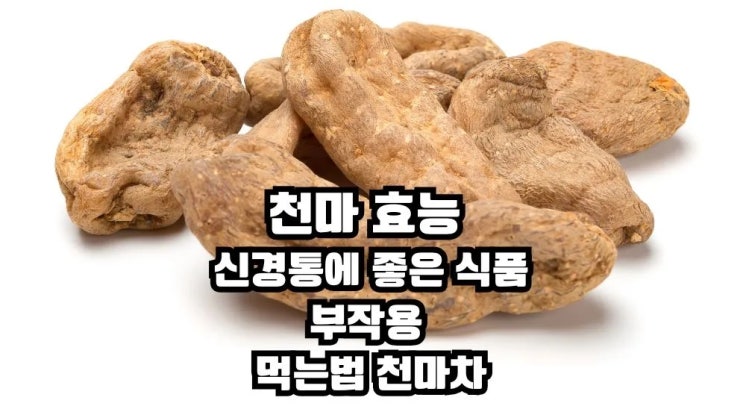 천마 효능 신경통 불안증에 좋은 식품 부작용 먹는법
