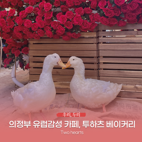 사진 3