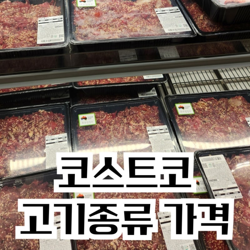 코스트코 청라점 소고기 돼지고기 닭고기 다짐육 종류별 키로당 가격 정보
