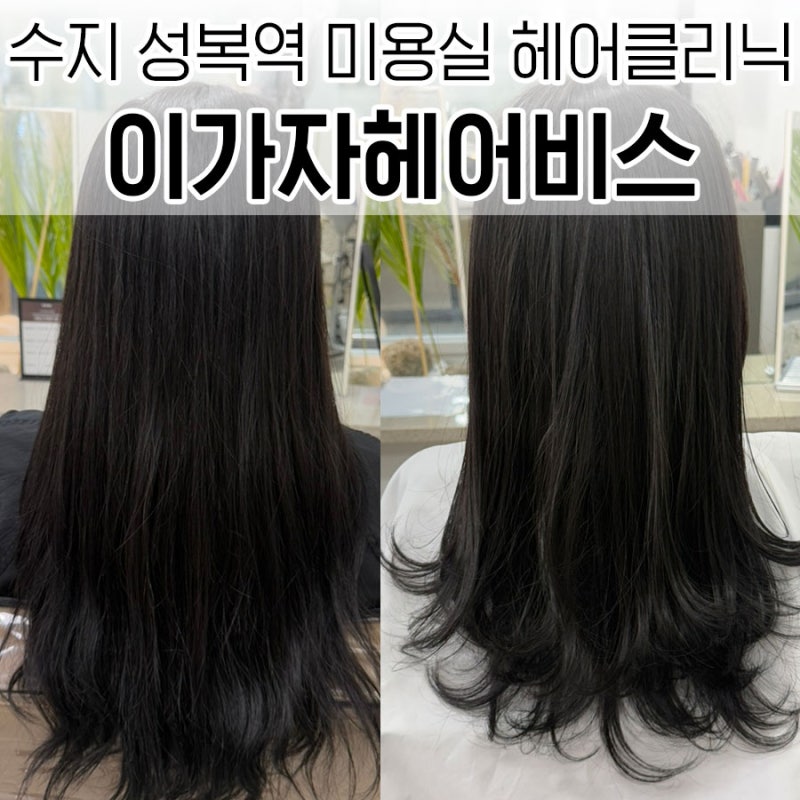 성복역 수지롯데몰미용실 이가자헤어비스 극손상모 클리닉 레이어드컷 아현 디자이너