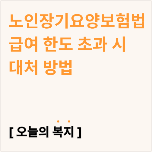  노인장기요양보험법 급여 한도 초과 시 대처 방법