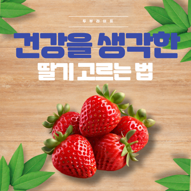  건강을 생각한 딸기 고르는 법(설향, 금실, 킹스베리, 하우스재배, 무농약, 유기농, 비타민C, 저칼로리, 옥살산, 요로결석, 품종, 효능, 부작용, 보관법)