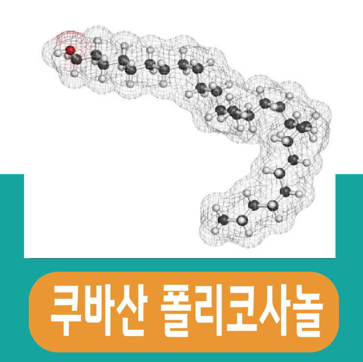  쿠바산 폴리코사놀 효능 부작용, 복용법 추천