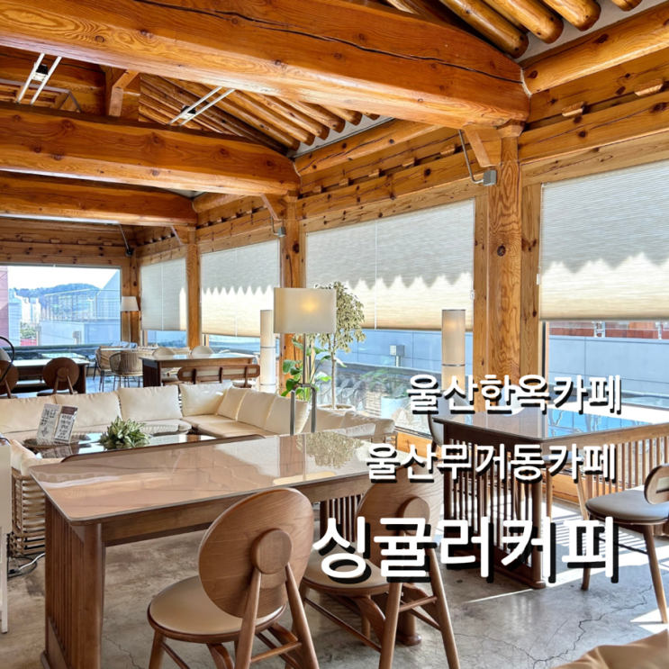  울산 무거동 카페 싱귤러커피 에르메스 테이블웨어 콜드브루 울산대 데이트 맛집
