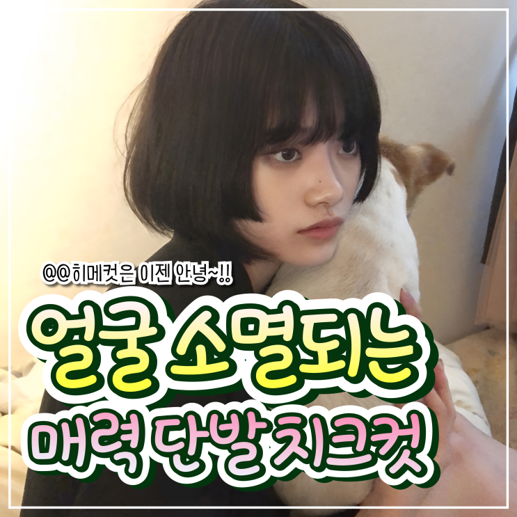  짧은 단발머리가 대세!치크컷의 매력에 빠져봐.