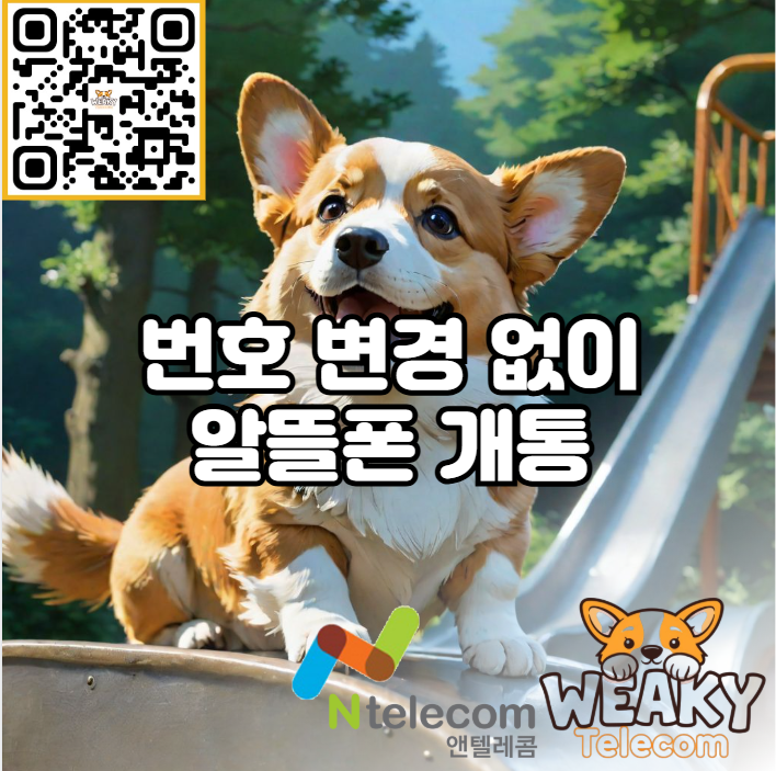  휴대폰 번호 변경 없이 알뜰폰을 개통하고 싶다면?