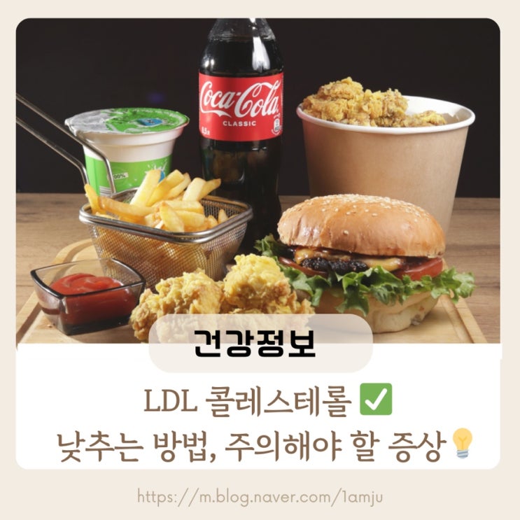 LDL 콜레스테롤 낮추는 방법 및 수치 낮추는 5가지 음식