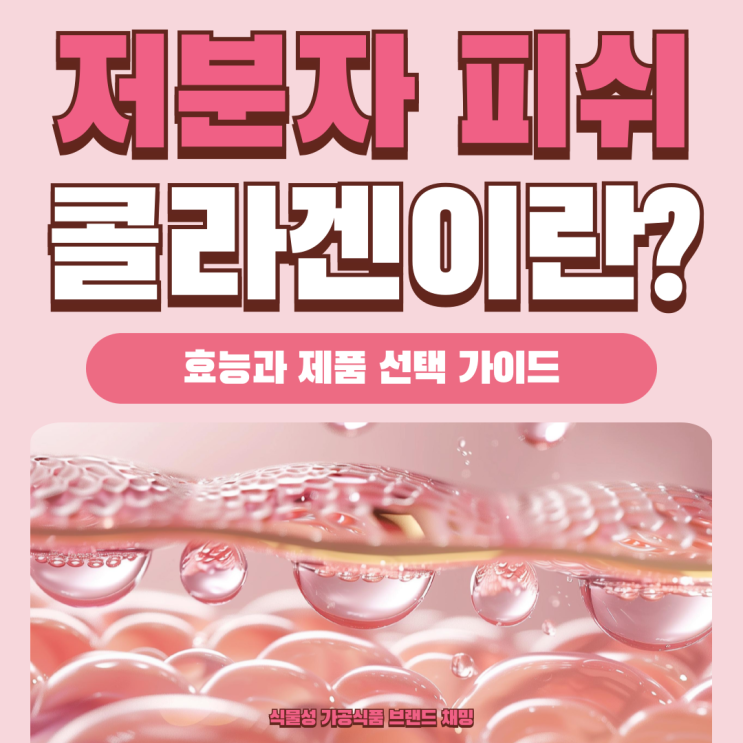  저분자 피쉬 콜라겐이란? 효능과 제품 선택 가이드