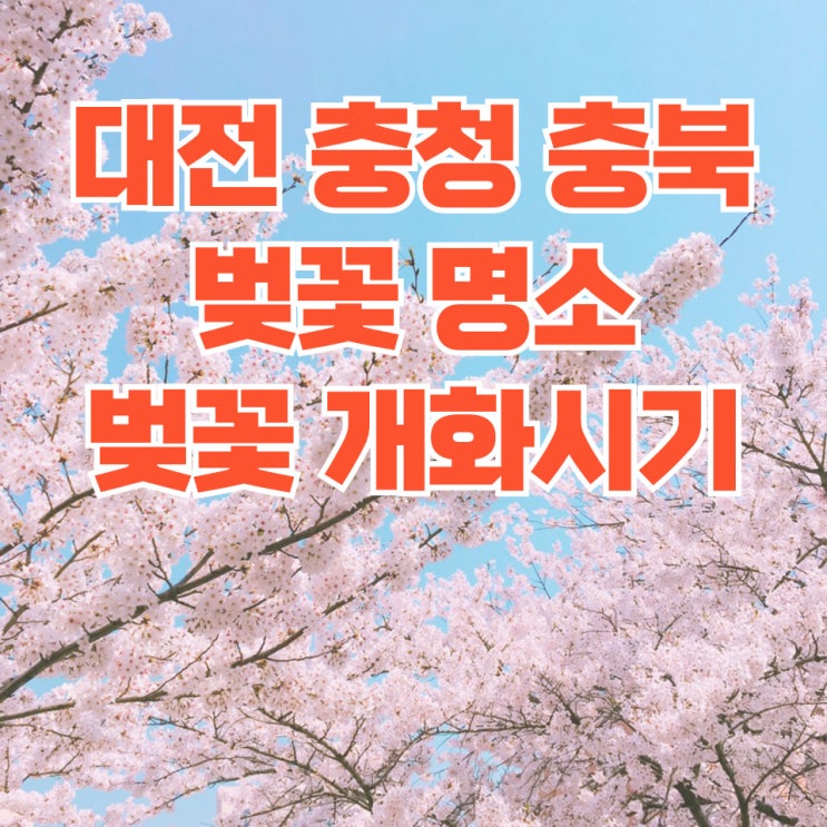 충남 충북 대전 벚꽃 명소 추천 : 동학사 문수사 아그로랜드 길상사 충주호 미원천 대청댐 등 벚꽃 개화시기 및 chatgpt 추천 장소