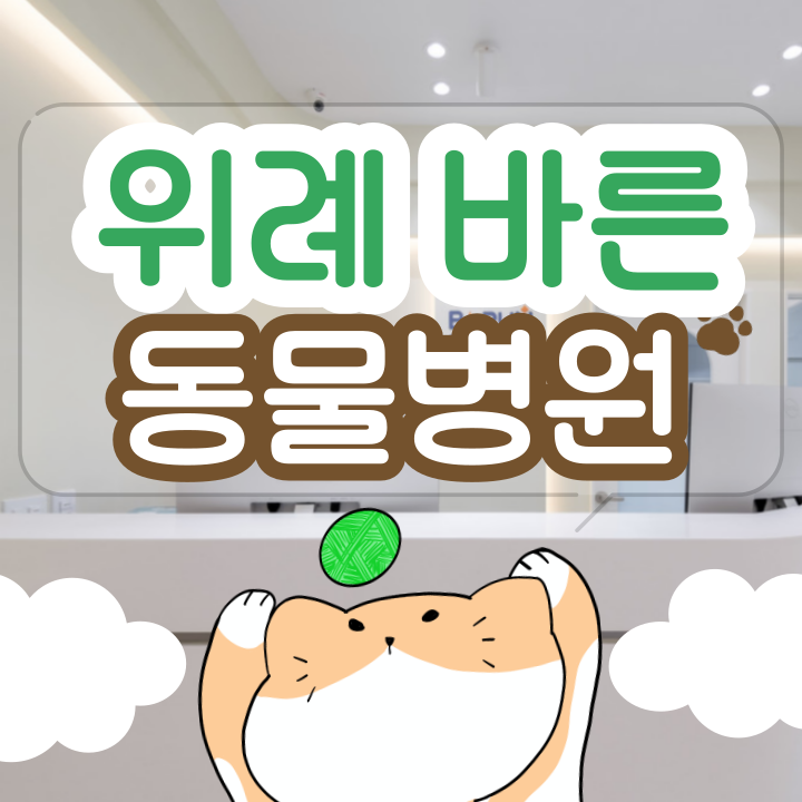  위례동물병원 강아지슬개골 탈구원인과 대처방법