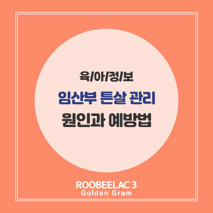  임신 튼살의 원인과 예방 효과적인 임산부 관리법 및 제거 팁 by. 덴마크 슈퍼 프리미엄 분유 루비락 3
