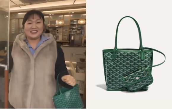  제이미맘 이수지 고야드 앙주 미니백 가격 대치동 도치맘 몽클레르 패딩 샤넬 당근 중고 정보 총정리