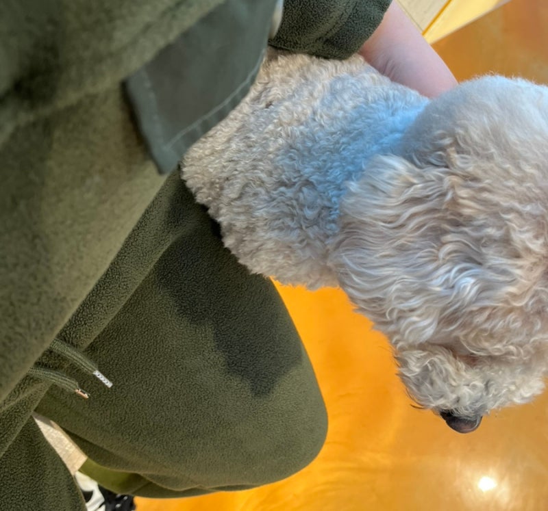 사진 3